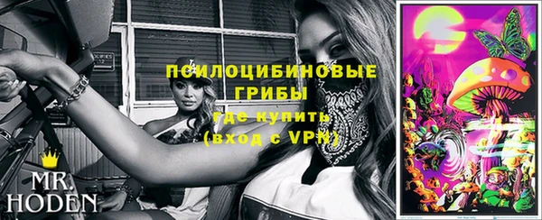 герыч Пересвет