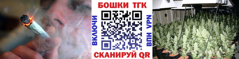 Бошки марихуана THC 21%  Закаменск 